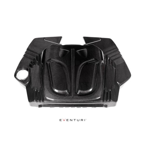 Eventuri Intakes