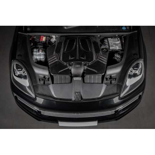 Eventuri Intakes