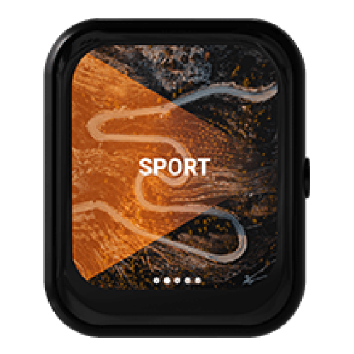 RaceChip