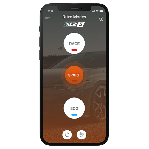 RaceChip